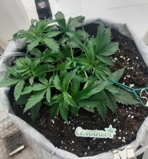 20230416_165658.jpg 20230416_165658.jpg