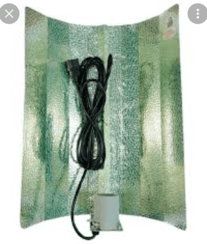 Screenshot_20211011-181840.png Screenshot_20211011-181840.png