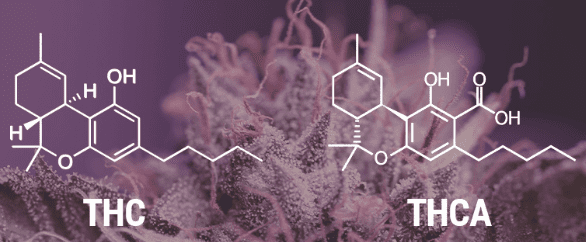 1637163651456.png 1637163651456.png