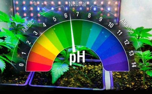 Питательная смесь для гидропоники Питательная смесь для гидропоники