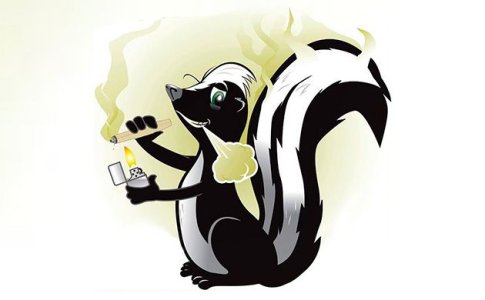 Описание и эффект Skunk сортов конопли