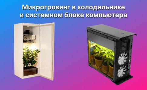 Основы микрогроувинга конопли