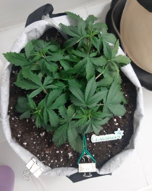 20230417_111513.jpg 20230417_111513.jpg