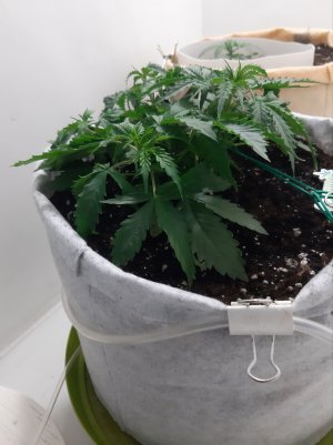 20230417_111402.jpg 20230417_111402.jpg