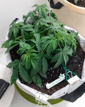 20230417_113859.jpg 20230417_113859.jpg