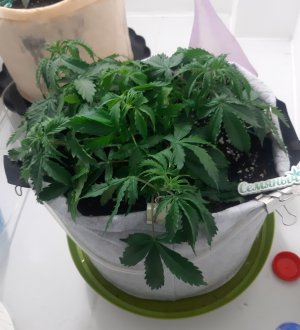 20230417_171022.jpg 20230417_171022.jpg