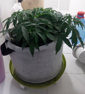 20230417_174715.jpg 20230417_174715.jpg