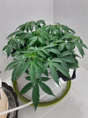 20230417_184834.jpg 20230417_184834.jpg