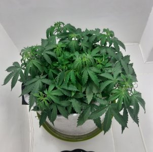 20230417_193721.jpg 20230417_193721.jpg