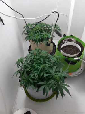 20230417_223012.jpg 20230417_223012.jpg