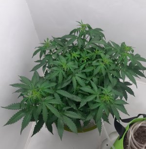 20230417_230649.jpg 20230417_230649.jpg