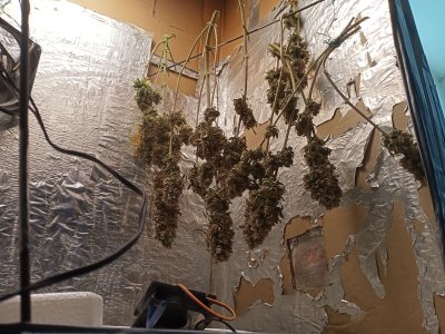 IMG20230418134530.jpg IMG20230418134530.jpg