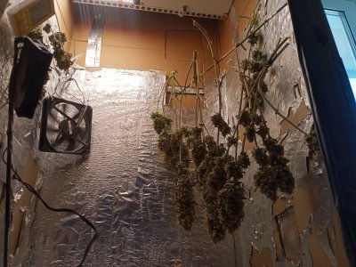 IMG20230418134459.jpg IMG20230418134459.jpg