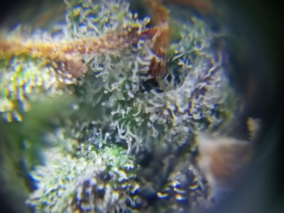 IMG20230418142910.jpg IMG20230418142910.jpg