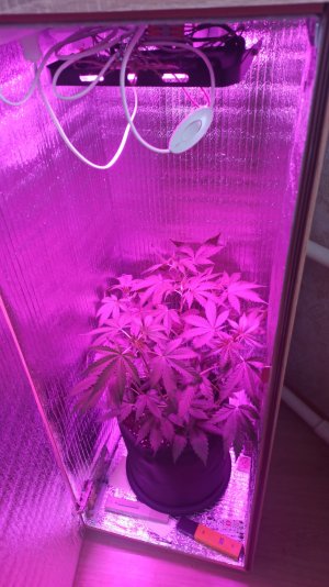 IMG_2023_04_20_15_27_04_2478244816912410107918.jpg IMG_2023_04_20_15_27_04_2478244816912410107918.jpg