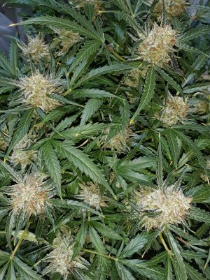 20230422_194848.jpg 20230422_194848.jpg