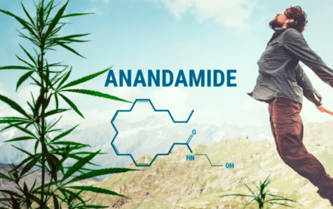 1682193127459.png 1682193127459.png