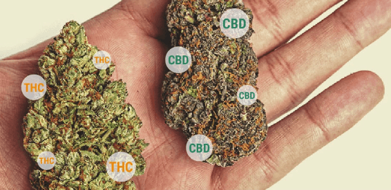 1682193397575.png 1682193397575.png