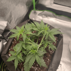 1682436423630.png 1682436423630.png