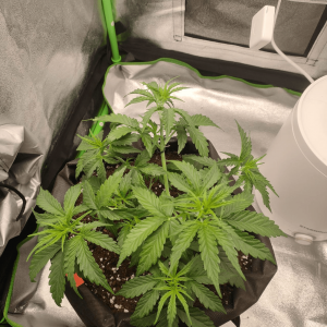 1682436519831.png 1682436519831.png