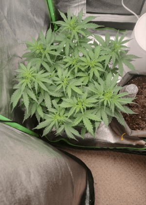 1682437047267.png 1682437047267.png