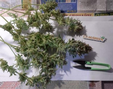 20230426_175851.jpg 20230426_175851.jpg