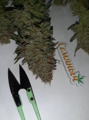 20230426_175808.jpg 20230426_175808.jpg