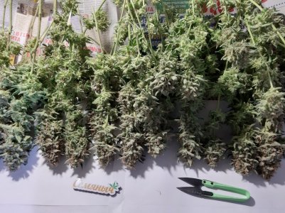 20230426_175632.jpg 20230426_175632.jpg