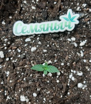 20230428_203058.jpg 20230428_203058.jpg