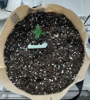 20230429_111443.jpg 20230429_111443.jpg