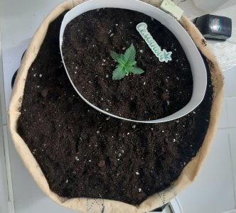 20230429_111329.jpg 20230429_111329.jpg