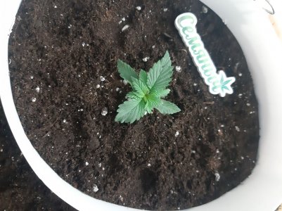 20230429_111312.jpg 20230429_111312.jpg