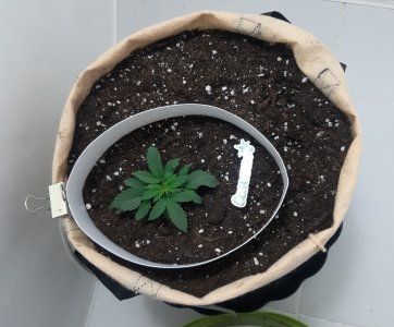 20230430_075444.jpg 20230430_075444.jpg