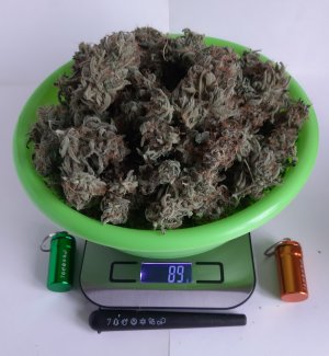 20230430_084202.jpg 20230430_084202.jpg