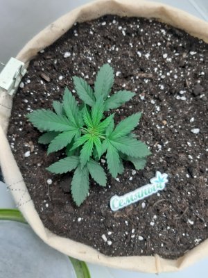 20230501_110658.jpg 20230501_110658.jpg