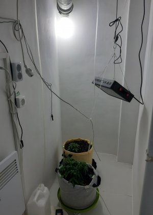 20230501_112134.jpg 20230501_112134.jpg