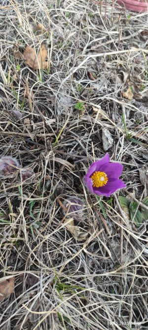 IMG_20230508_182046.jpg IMG_20230508_182046.jpg