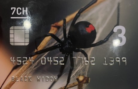 B2645F56-0E63-490A-8837-4E8CB980C32F.jpeg B2645F56-0E63-490A-8837-4E8CB980C32F.jpeg