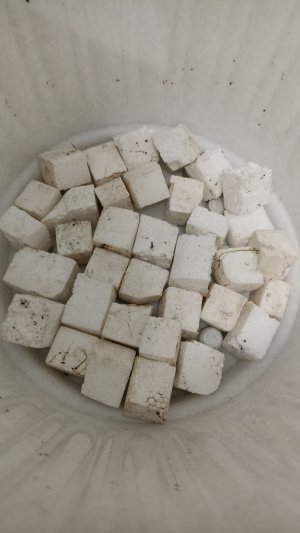 IMG_20230510_205639.jpg IMG_20230510_205639.jpg