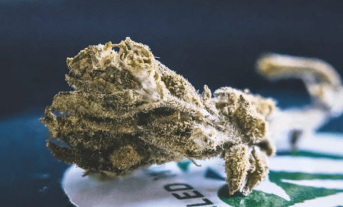 1684251465348.png 1684251465348.png