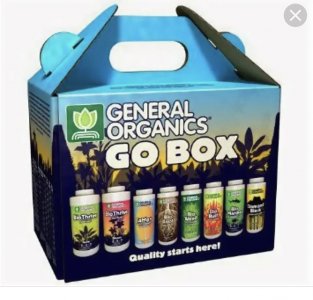 IMG_3874.jpeg IMG_3874.jpeg