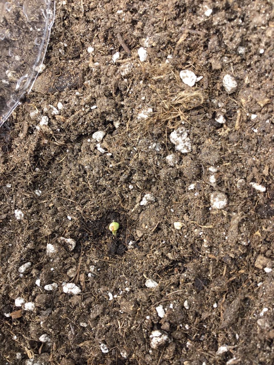 день 1.2.jpg день 1.2.jpg