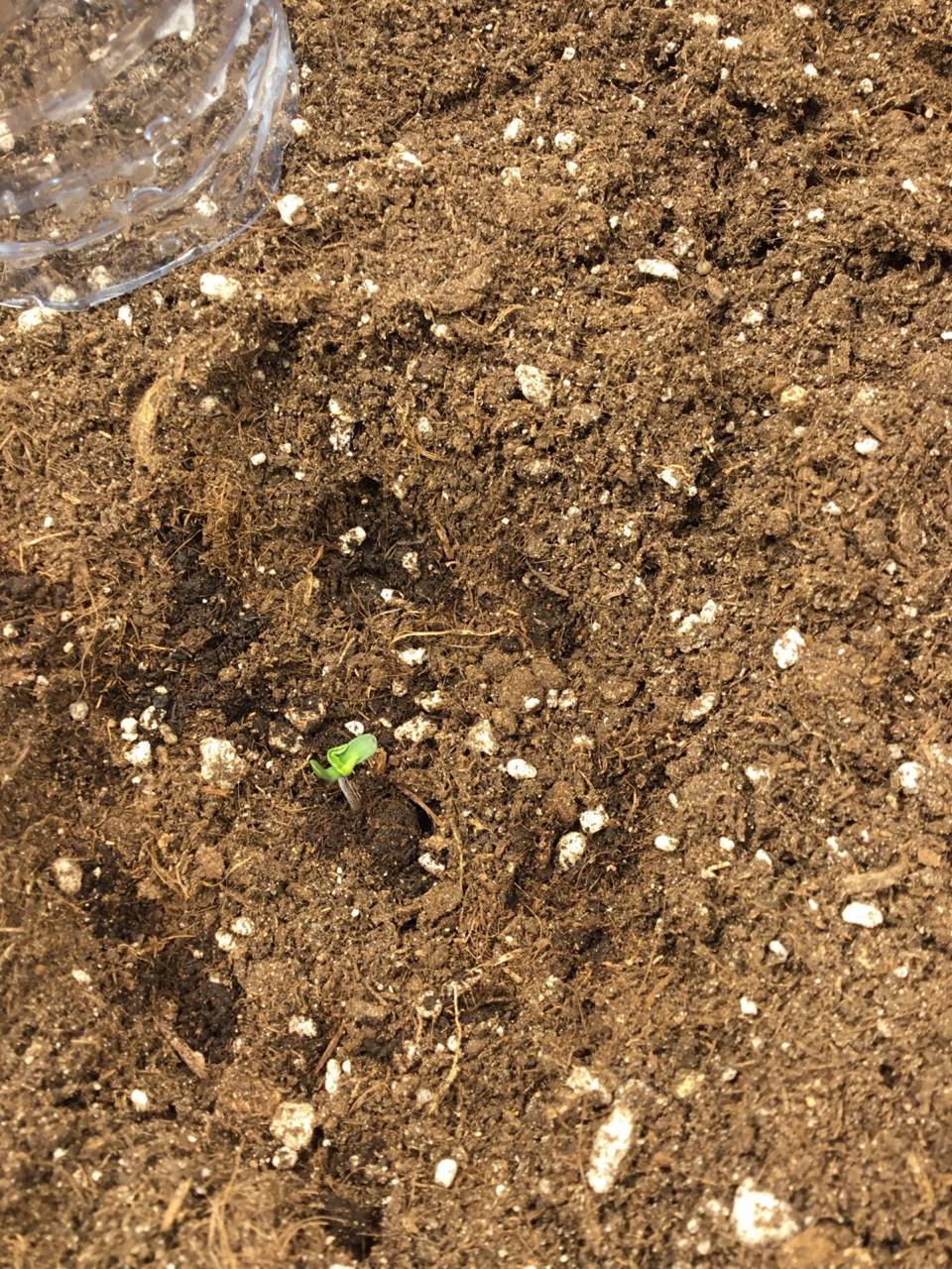 день 1.3.jpg день 1.3.jpg