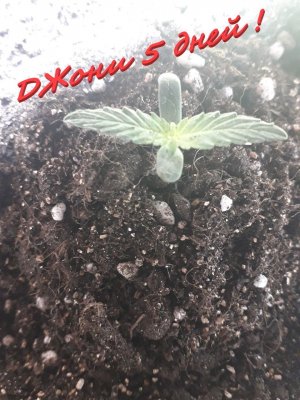 Без имени.jpg