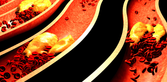 1686495530082.png 1686495530082.png