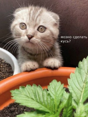 4245cba7-7cf0-404b-97e4-0a09af8caf5e.jpeg 4245cba7-7cf0-404b-97e4-0a09af8caf5e.jpeg