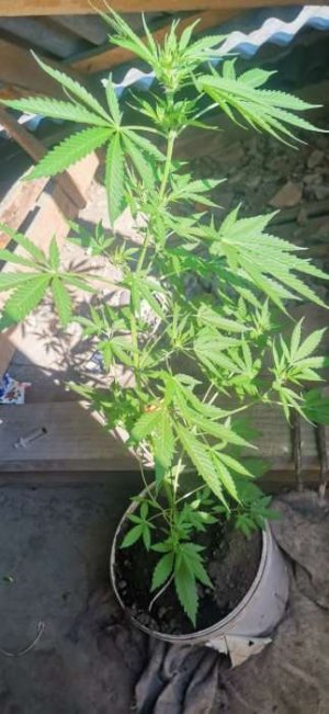 photo_5220004794184355047_y.jpg photo_5220004794184355047_y.jpg