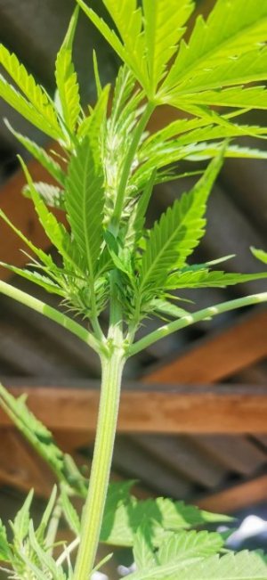 photo_5220004794184355048_y.jpg photo_5220004794184355048_y.jpg