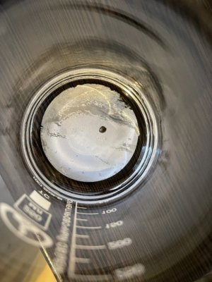 IMG_7315.jpeg IMG_7315.jpeg