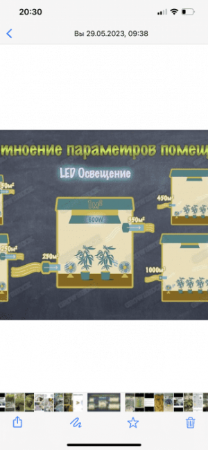 IMG_7317.png IMG_7317.png